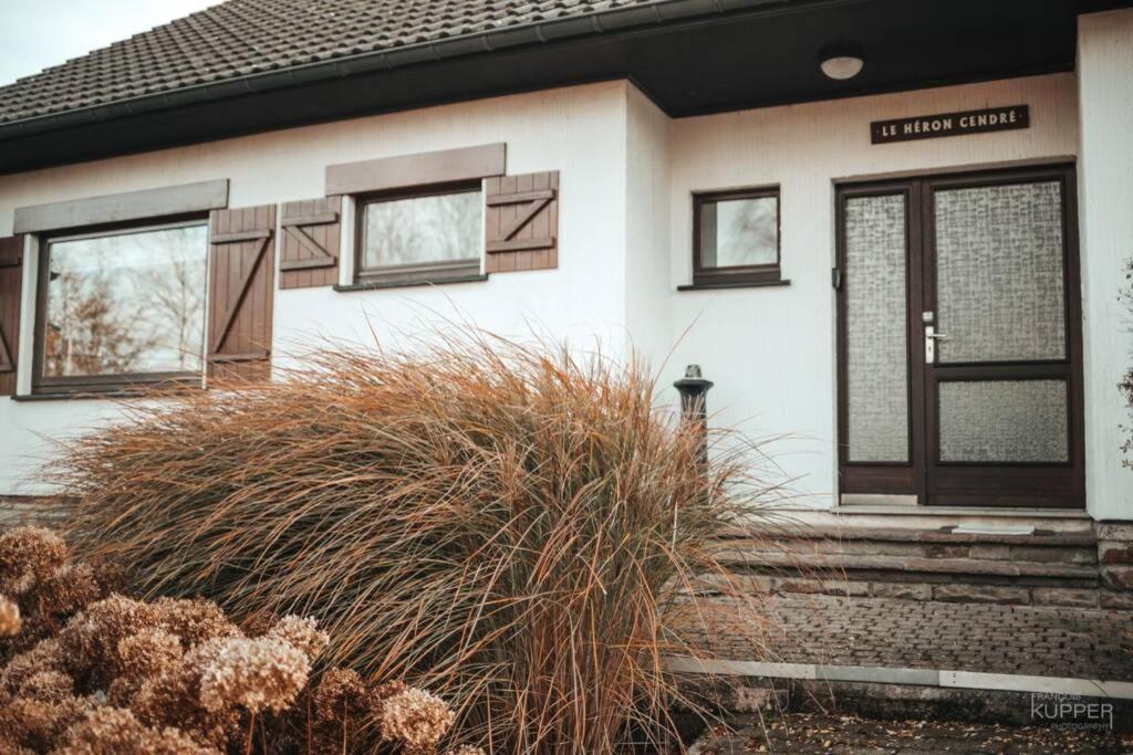 Le Heron 28Pers, Malmedy- Home Cinema, Balneo, Sauna, Jardin Exteriér fotografie