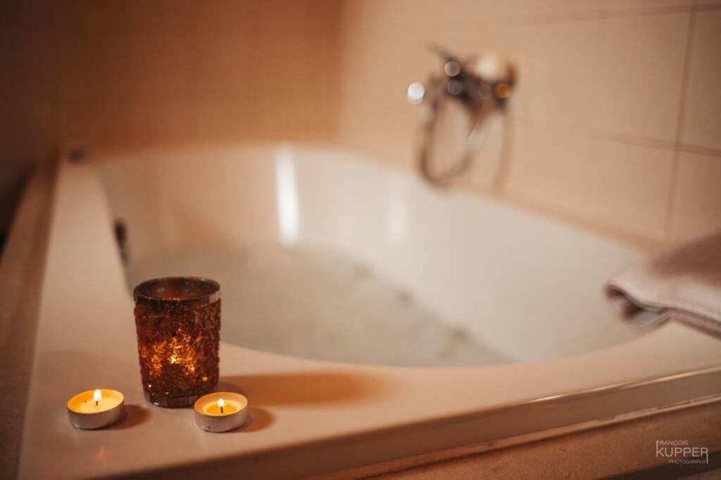 Le Heron 28Pers, Malmedy- Home Cinema, Balneo, Sauna, Jardin Exteriér fotografie